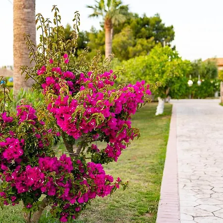 Апартаменты Ionio Holidays Katerina